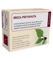 Breza previsnutá, list, 40 g