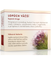 Lopúch väčší, koreň, 80 g